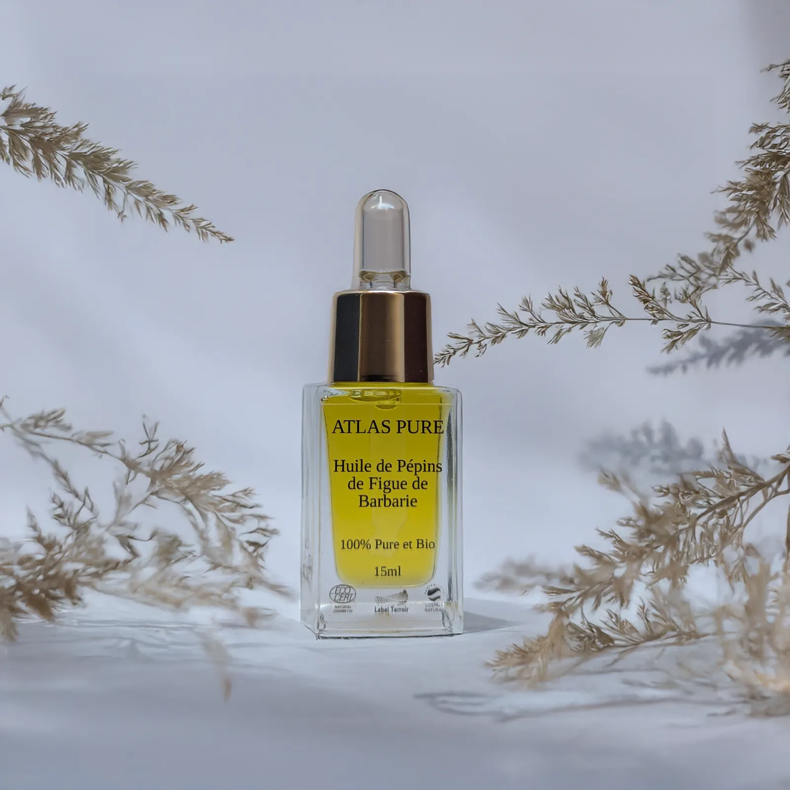 Huile Atlas Pure dans son environnement naturel